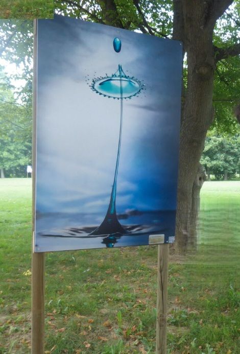 exposition salaise sur sannes